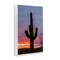 Stupell Industries Arizona Cactus at Sunset Framed Giclee, design by Jeff Poe Photography